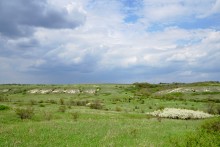 Весна в балке Обрывской