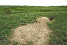 Весна в балке Обрывской