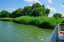 На пароме в Старочеркасской и на пароме памяти