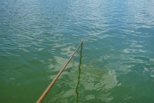 На пароме в Старочеркасской и на пароме памяти