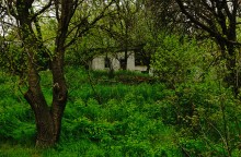 Поход 9-го мая от военно-исторического музея в Аксае до братской могилы в поселке Реконструктор