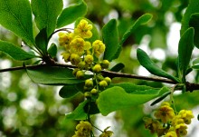 Поход 9-го мая от военно-исторического музея в Аксае до братской могилы в поселке Реконструктор