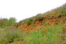 Поход 9-го мая от военно-исторического музея в Аксае до братской могилы в поселке Реконструктор