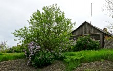 Поход 9-го мая от военно-исторического музея в Аксае до братской могилы в поселке Реконструктор