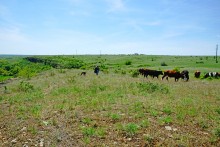 Скалы на реке Кундрючья у хутора Голубинка