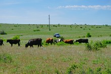 Скалы на реке Кундрючья у хутора Голубинка