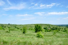 Зубы акул в отложениях на берегах реки Глубокой