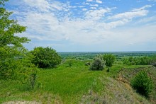 Зубы акул в отложениях на берегах реки Глубокой