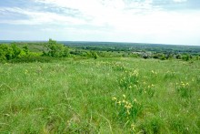 Зубы акул в отложениях на берегах реки Глубокой