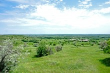 Зубы акул в отложениях на берегах реки Глубокой