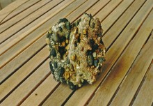 Зубы акул в отложениях на берегах реки Глубокой