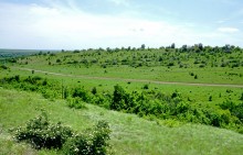 Зубы акул в отложениях на берегах реки Глубокой