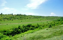 Зубы акул в отложениях на берегах реки Глубокой
