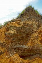 Зубы акул в отложениях на берегах реки Глубокой