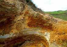 Зубы акул в отложениях на берегах реки Глубокой