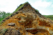 Зубы акул в отложениях на берегах реки Глубокой