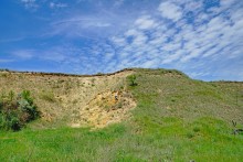 Зубы акул в отложениях на берегах реки Глубокой