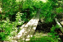 Водяная мельница в хуторе Казьминка на реке Кундрючья