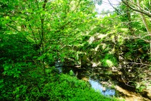 Водяная мельница в хуторе Казьминка на реке Кундрючья