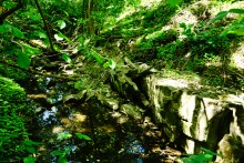 Водяная мельница в хуторе Казьминка на реке Кундрючья