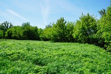 Водяная мельница в хуторе Казьминка на реке Кундрючья