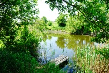 Водяная мельница в хуторе Казьминка на реке Кундрючья