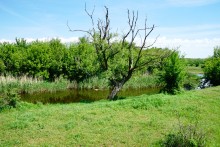 Водяная мельница в хуторе Казьминка на реке Кундрючья