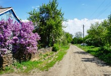 Водяная мельница в хуторе Казьминка на реке Кундрючья