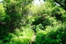 Водяная мельница в хуторе Казьминка на реке Кундрючья