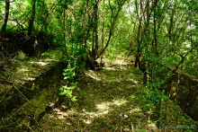 Водяная мельница в хуторе Грушевка на реке Кундрючьей