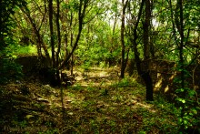 Водяная мельница в хуторе Грушевка на реке Кундрючьей