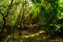 Водяная мельница в хуторе Грушевка на реке Кундрючьей