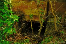 Водяная мельница в хуторе Грушевка на реке Кундрючьей