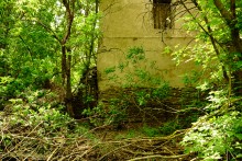 Водяная мельница в хуторе Грушевка на реке Кундрючьей