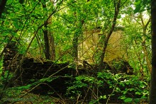 Водяная мельница в хуторе Грушевка на реке Кундрючьей