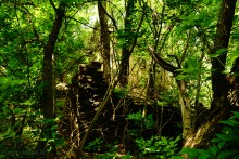 Водяная мельница в хуторе Грушевка на реке Кундрючьей