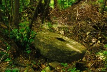 Водяная мельница в хуторе Грушевка на реке Кундрючьей