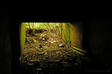 Водяная мельница в хуторе Грушевка на реке Кундрючьей