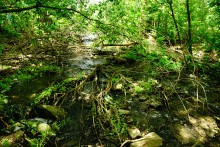 Водяная мельница в хуторе Грушевка на реке Кундрючьей