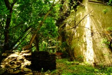 Водяная мельница в хуторе Грушевка на реке Кундрючьей