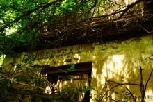 Водяная мельница в хуторе Грушевка на реке Кундрючьей