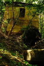 Водяная мельница в хуторе Грушевка на реке Кундрючьей