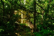 Водяная мельница в хуторе Грушевка на реке Кундрючьей