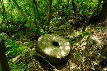 Водяная мельница в хуторе Грушевка на реке Кундрючьей