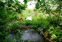 Водяная мельница в хуторе Грушевка на реке Кундрючьей