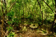 Водяная мельница в хуторе Грушевка на реке Кундрючьей