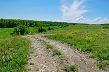 Старое казачье укрепление на Миусе, времен Петровских походов.