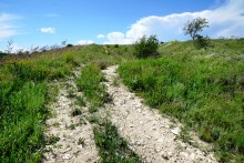 Старое казачье укрепление на Миусе, времен Петровских походов.