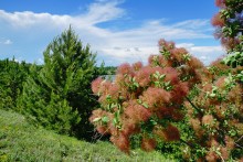 Старое казачье укрепление на Миусе, времен Петровских походов.