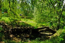 Колодец и криница в селе Ряженое на Миусе